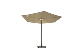 Anamon Parasol Royal Botania - 2