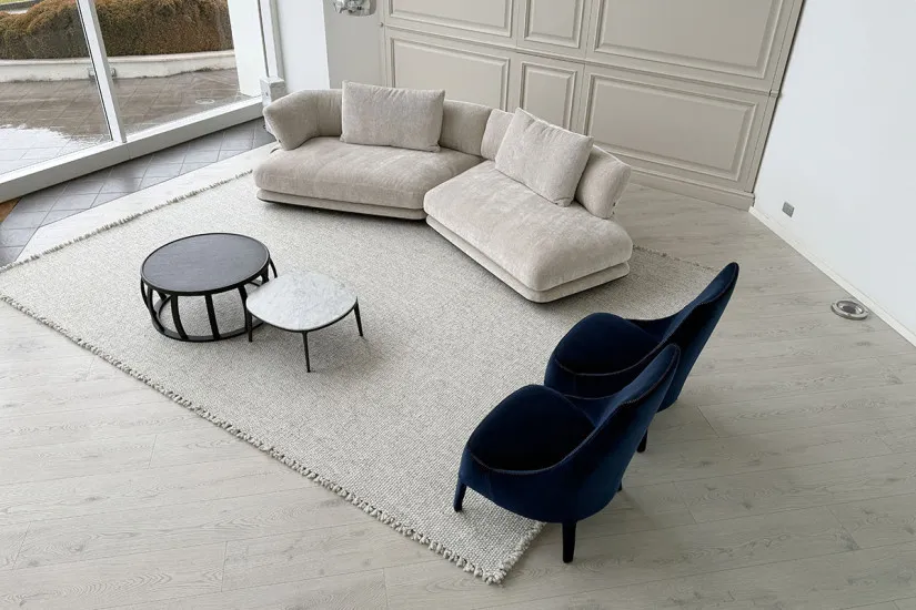 Cocùn Beige Sofa B&B Italia - 4
