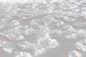 Tapis Textures 2