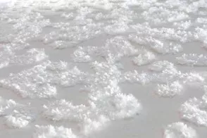 Textures Carpet 2
