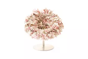 Fauteuil Bouquet Moroso - 1 2