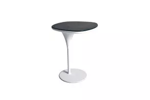 Table Bloomy Moroso - 1