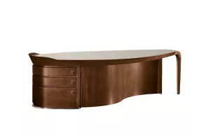 Erasmo Desk