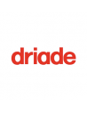 Driade